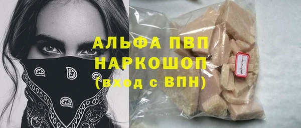 ПСИЛОЦИБИНОВЫЕ ГРИБЫ Верея